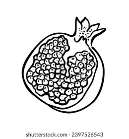 Pomegranate. The cut part. Vector illustration in doodle style