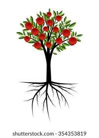Pomegranate decorative tree with roots