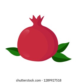 Pomegranate design juicy fresh fruit icon vector template. Raw pomegranate.