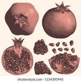 Pomegranate. Design set. Hand drawn engraving. Editable vector vintage illustration. Isolated on white background. 8 EPS
