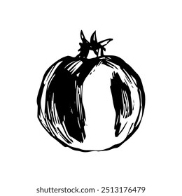 Dibujo de granada, boceto de Vector, ilustración dibujada a mano, línea negra sobre fondo blanco