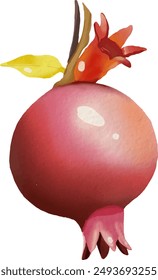 Pomegranate element design for template, watercolor style.