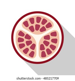 pomegranate flat icon. You can be used pomegranate icon for several purposes like: websites, UI, UX, print templates, promotional materials, info-graphics, web and mobile phone apps.