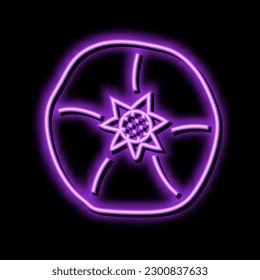 pomegranate food fruit neon light sign vector. pomegranate food fruit sign. isolated symbol illustration