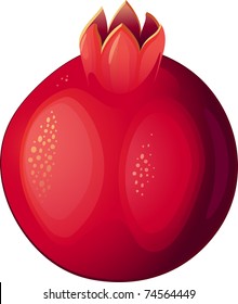 Pomegranate Fruit