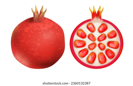 Fruta granada. Ilustración vectorial 3d al estilo de la caricatura.