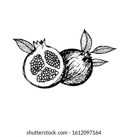 Pomegranate fruit, berry. Organic nutrition healthy food. Engraved hand drawn vintage retro Pomegranate engraving sketch etch illustration. Isolated on white background.