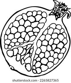 Pomegranate fruit black and white vector illustration isolated on a white background.