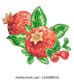 Pomegranate fruit branch in graphic vector illustration in bright colors