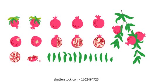 Pomegranate fruit bunde. Vector drawing isolated on white. Simple cute flat design. Symbol for Jewish traditional holidays. Great for card, poster, banner background. Botanical illustration.