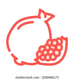 pomegranate fruit color icon vector. pomegranate fruit sign. isolated symbol illustration