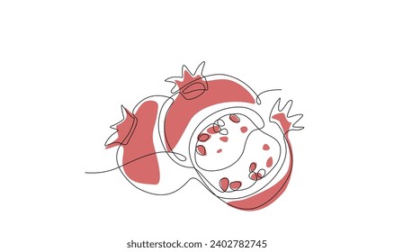 Pomegranate fruit in continuous single line style. Happy Shana Tova one line drawing. Editable stroke line art. Fruit contour with color shapes. Abstract minimalistic style. Design vector element