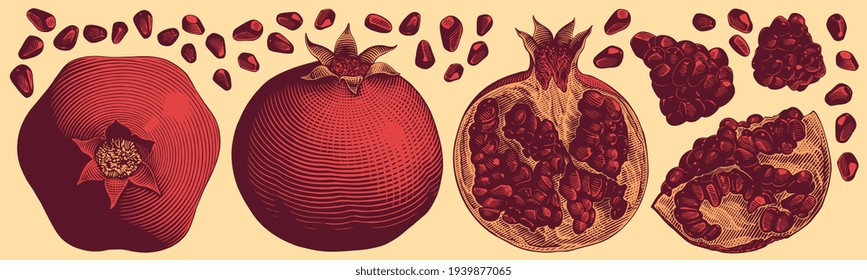 Pomegranate fruit. Design set. Art detailed editable illustration. Vector vintage engraving. Isolated on light background. 8 EPS