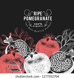 Pomegranate fruit design template. Hand drawn vector fruit illustration on chalk board. Engraved style retro botanical background.