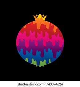 Pomegranate fruit designed using colorful graphic vector
