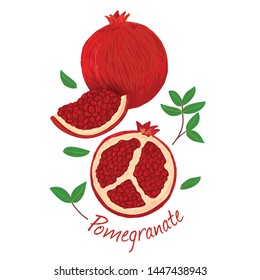 Pomegranate, fruit doodle drawings vector illustration.