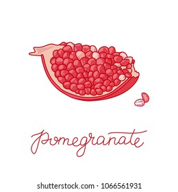 Pomegranate fruit doodle vector illustration, Hand drawn vector red fruit and seeds arrangement isolated on the white background, doodle illustration with calligraphic text