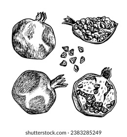 Pomegranate fruit, hand drawn black and white graphic vector illustration. Isolated on a white background. Design element for packaging, printed products. For banners and menus, textiles and posters.