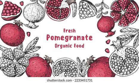 Pomegranate fruit hand drawn design. Vector illustration. Design, package, brochure illustration. Pomegranate frame illustration. Design elements for packaging design and other.