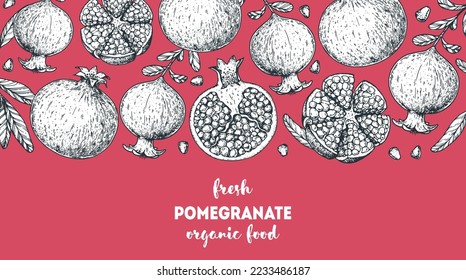 Pomegranate fruit hand drawn design. Vector illustration. Design, package, brochure illustration. Pomegranate frame illustration. Design elements for packaging design and other.