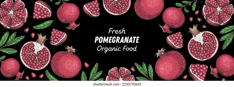 Pomegranate fruit hand drawn design. Vector illustration. Design, package, brochure illustration. Pomegranate border illustration. Design elements for packaging design and other.