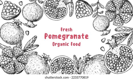 Pomegranate fruit hand drawn design. Vector illustration. Design, package, brochure illustration. Pomegranate frame illustration. Design elements for packaging design and other.