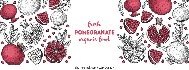 Pomegranate fruit hand drawn design. Vector illustration. Design, package, brochure illustration. Pomegranate frame illustration. Design elements for packaging design and other.