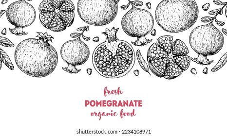 Pomegranate fruit hand drawn design. Vector illustration. Design, package, brochure illustration. Pomegranate frame illustration. Design elements for packaging design and other.