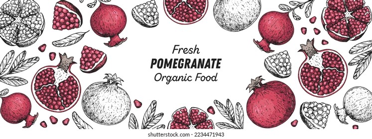 Pomegranate fruit hand drawn design. Vector illustration. Design, package, brochure illustration. Pomegranate frame illustration. Design elements for packaging design and other.