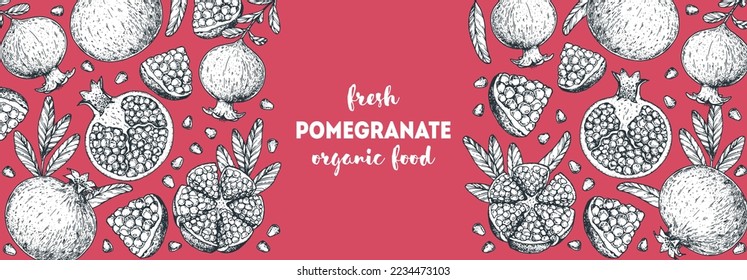 Pomegranate fruit hand drawn design. Vector illustration. Design, package, brochure illustration. Pomegranate frame illustration. Design elements for packaging design and other.