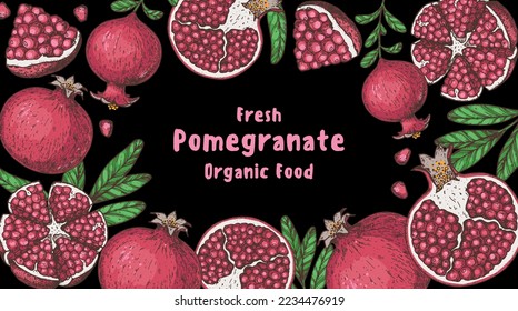 Pomegranate fruit hand drawn design. Vector illustration. Design, package, brochure illustration. Pomegranate border illustration. Design elements for packaging design and other.