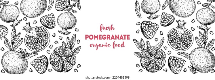 Pomegranate fruit hand drawn design. Vector illustration. Design, package, brochure illustration. Pomegranate frame illustration. Design elements for packaging design and other.