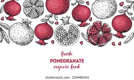 Pomegranate fruit hand drawn design. Vector illustration. Design, package, brochure illustration. Pomegranate frame illustration. Design elements for packaging design and other.