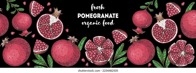 Pomegranate fruit hand drawn design. Vector illustration. Design, package, brochure illustration. Pomegranate border illustration. Design elements for packaging design and other.