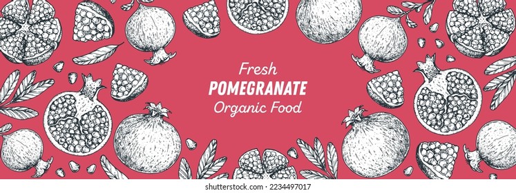 Pomegranate fruit hand drawn design. Vector illustration. Design, package, brochure illustration. Pomegranate frame illustration. Design elements for packaging design and other.