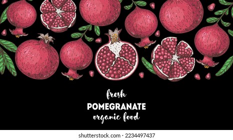 Pomegranate fruit hand drawn design. Vector illustration. Design, package, brochure illustration. Pomegranate border illustration. Design elements for packaging design and other.