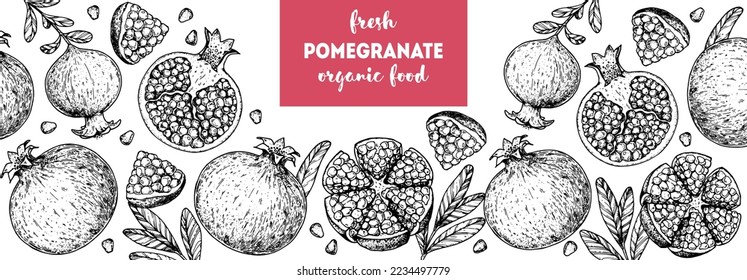 Pomegranate fruit hand drawn design. Vector illustration. Design, package, brochure illustration. Pomegranate frame illustration. Design elements for packaging design and other.