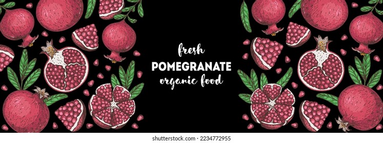 Pomegranate fruit hand drawn design. Vector illustration. Design, package, brochure illustration. Pomegranate border illustration. Design elements for packaging design and other.