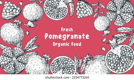 Pomegranate fruit hand drawn design. Vector illustration. Design, package, brochure illustration. Pomegranate frame illustration. Design elements for packaging design and other.