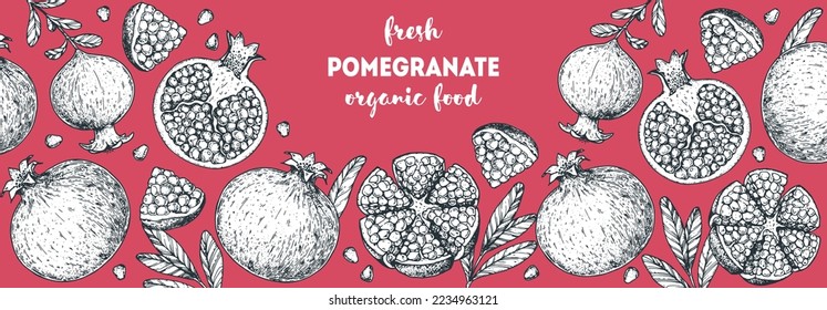 Pomegranate fruit hand drawn design. Vector illustration. Design, package, brochure illustration. Pomegranate frame illustration. Design elements for packaging design and other.