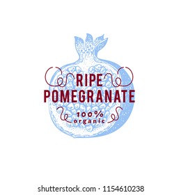 Pomegranate fruit. Hand drawn vector fruit illustration. Engraved style vintage botanical illustration.