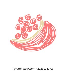 Pomegranate fruit. Hand drawn vector illustration. Pen or marker doodle sketch