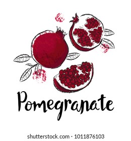 Pomegranate fruit handdrawn design template. Botanical fruit illustration. Vector illustration realistic sketch with calligraphic lettering