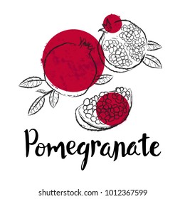 Pomegranate fruit handdrawn design template. Botanical fruit illustration. Vector illustration realistic sketch with calligraphic lettering