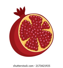 pomegranate fruit icon isolated flat