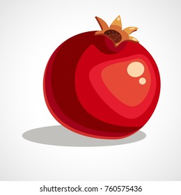 Pomegranate fruit icon vector template. Vector illustration