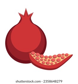 pomegranate fruit illustration vector isolated