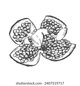 Esbozo de tinta de fruta granada en vector