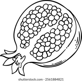 Pomegranate Fruit Isolated Outline Illustration