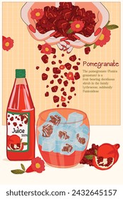 Pomegranate fruit with leaf vector illustration.  Fresh pomegranate Juice bottle .